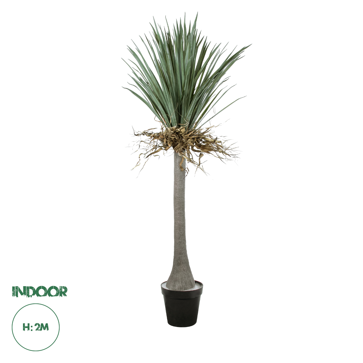 Τεχνητός Κήπος Beaucarnea Palm Tree Glint® Τεχνητό Διακοσμητικό Φυτό Κυρτόφυλλος Μπουκαρνέα Υ200Cm