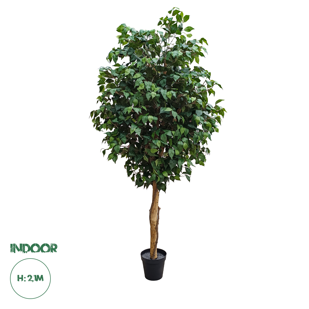 Τεχνητός Κήπος Ficus Benjamina Tree Glint® Τεχνητό Διακοσμητικό Φυτό Φίκος Μπενζαμίνη Υ210Cm