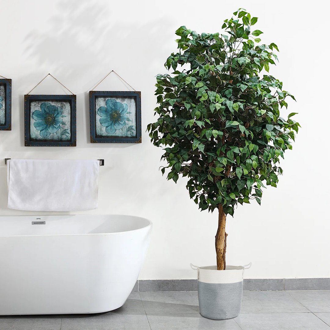 Τεχνητός Κήπος Ficus Benjamina Tree Glint® Τεχνητό Διακοσμητικό Φυτό Φίκος Μπενζαμίνη Υ210Cm