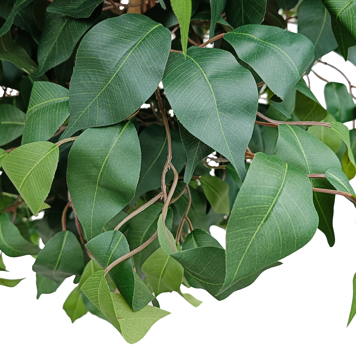 Τεχνητός Κήπος Ficus Benjamina Tree Glint® Τεχνητό Διακοσμητικό Φυτό Φίκος Μπενζαμίνη Υ210Cm