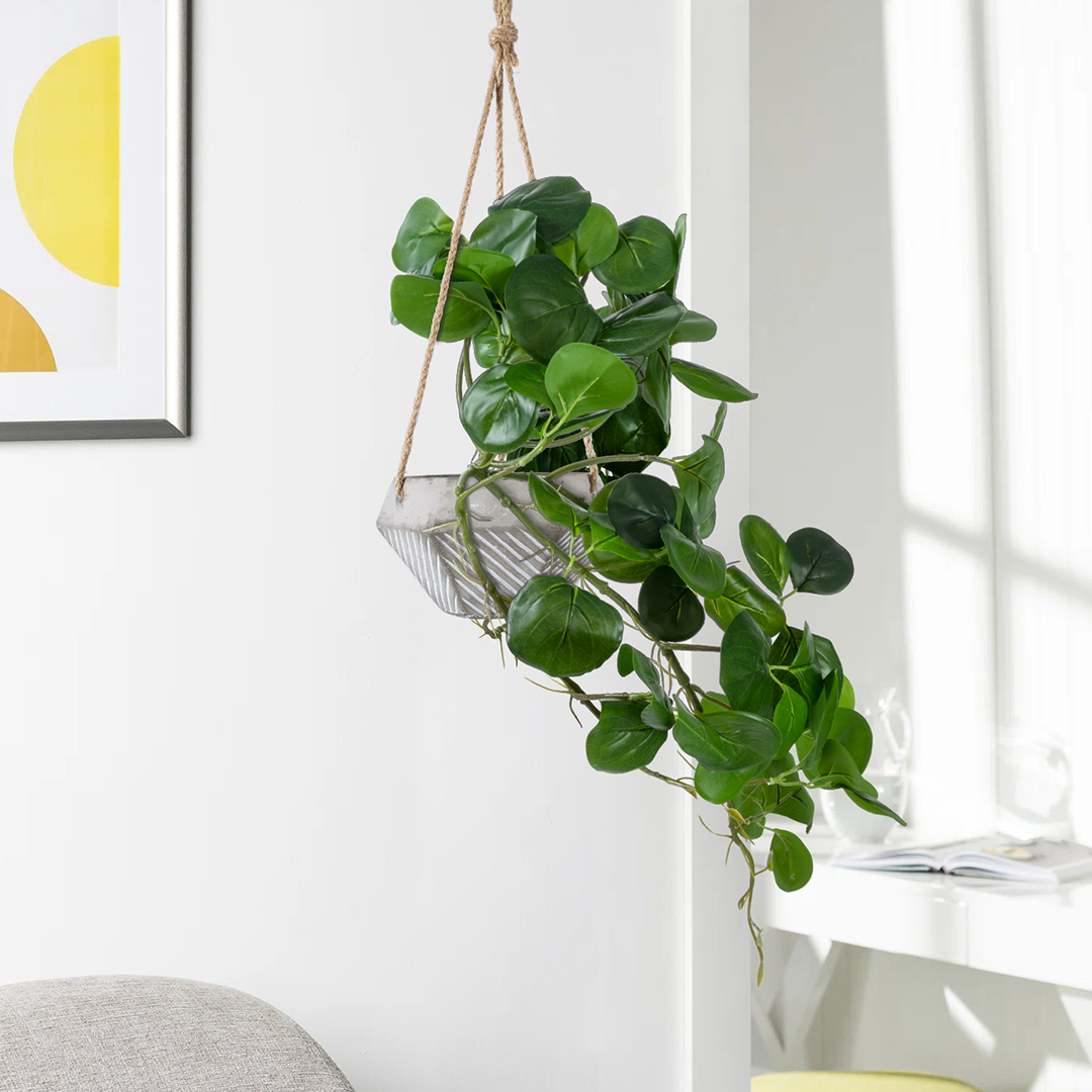 Τεχνητός Κήπος Hanging Peperomia Glint® Τεχνητό Διακοσμητικό Κρεμαστό Φυτό Πεπερόμια Μ30 X Π31 X Υ50Cm