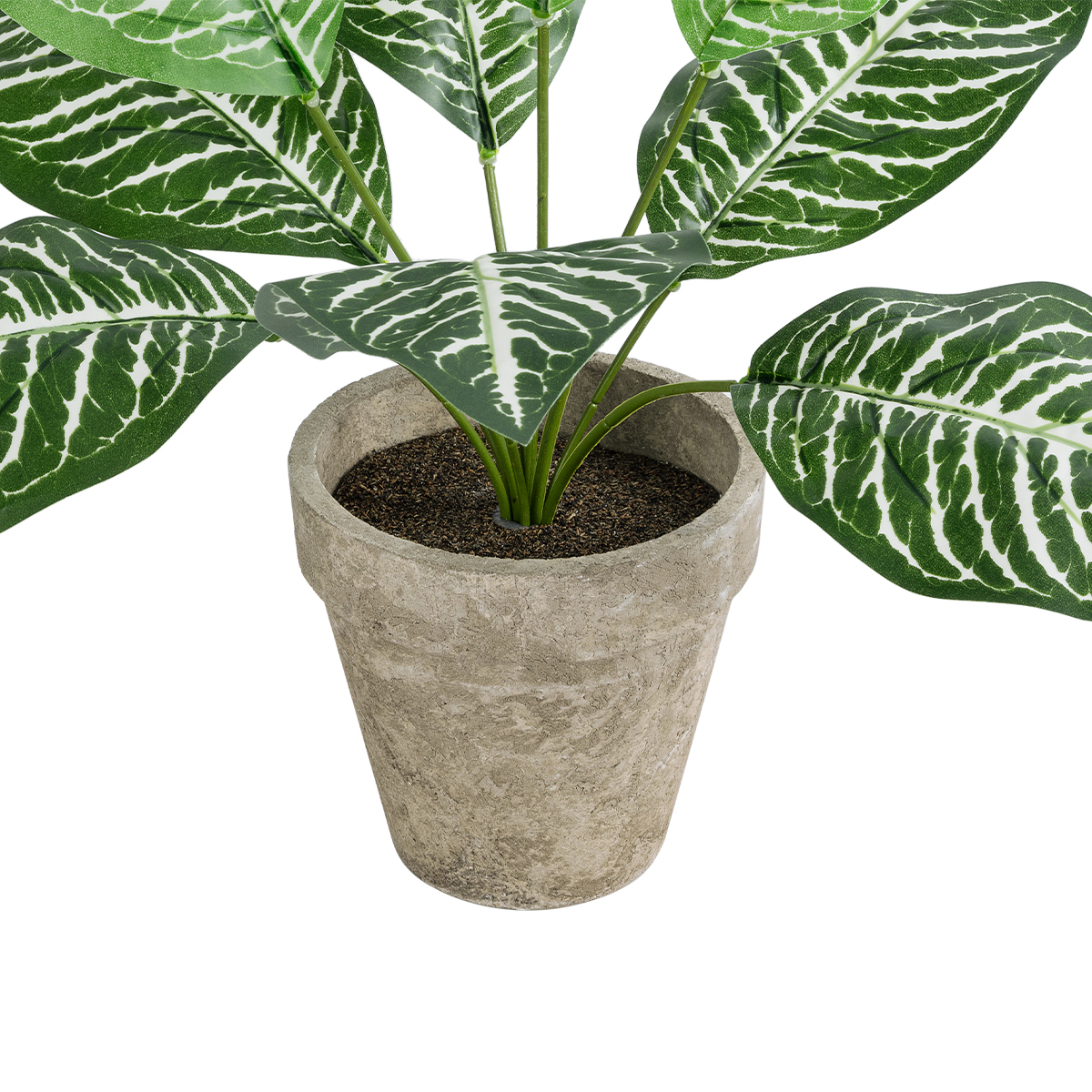 Τεχνητός Κήπος Zebra Potted Plant Glint® Διακοσμητικό Φυτό Ζέμπρα Φ40 X Υ33Cm