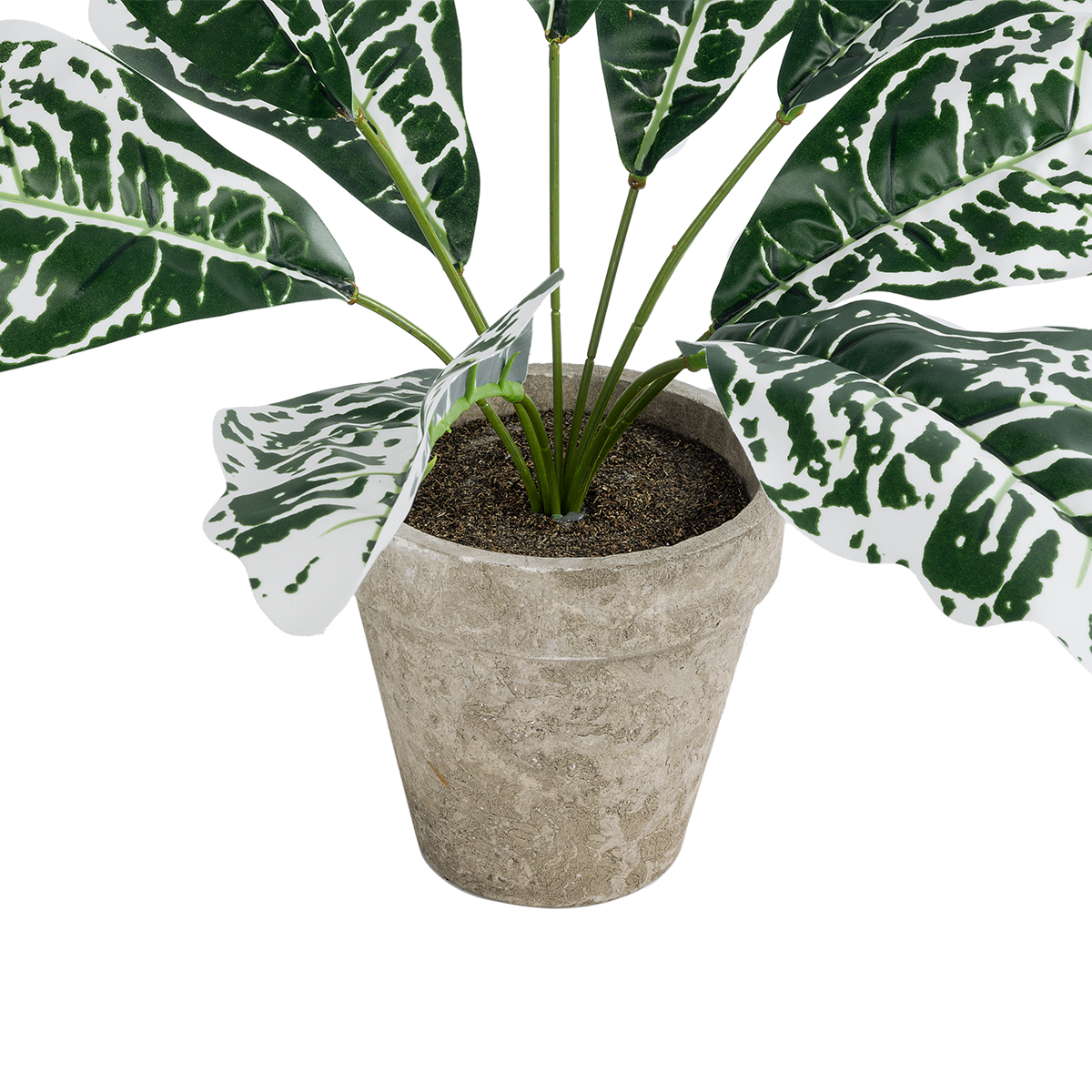 Τεχνητός Κήπος White Aglaonema Potted Plant Glint® Διακοσμητικό Φυτό Λευκό Αγλαόνημα Φ40 X Υ33Cm