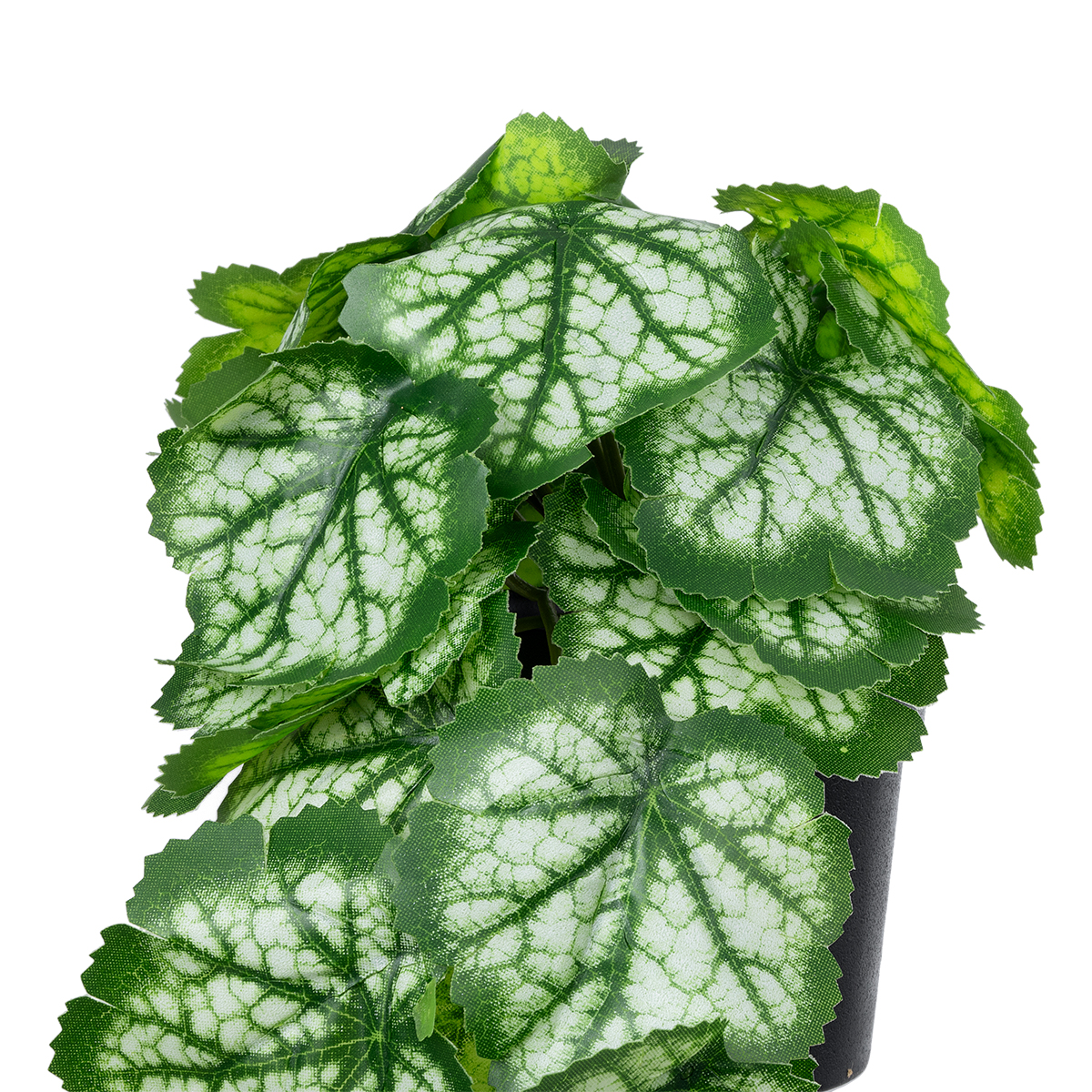 Τεχνητός Κήπος White Begonia Plant Glint® Διακοσμητικό Φυτό Λευκή Μπιγόνια Φ23 X Υ16Cm