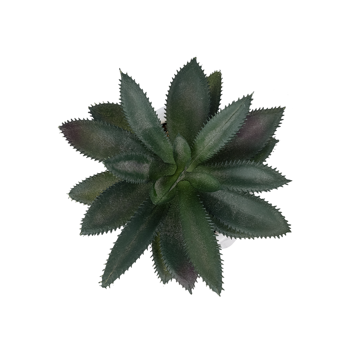 Τεχνητός Κήπος Succulent Aloe Potted Plant Glint® Διακοσμητικό Φυτό Αλόης Φ9 X Υ12Cm