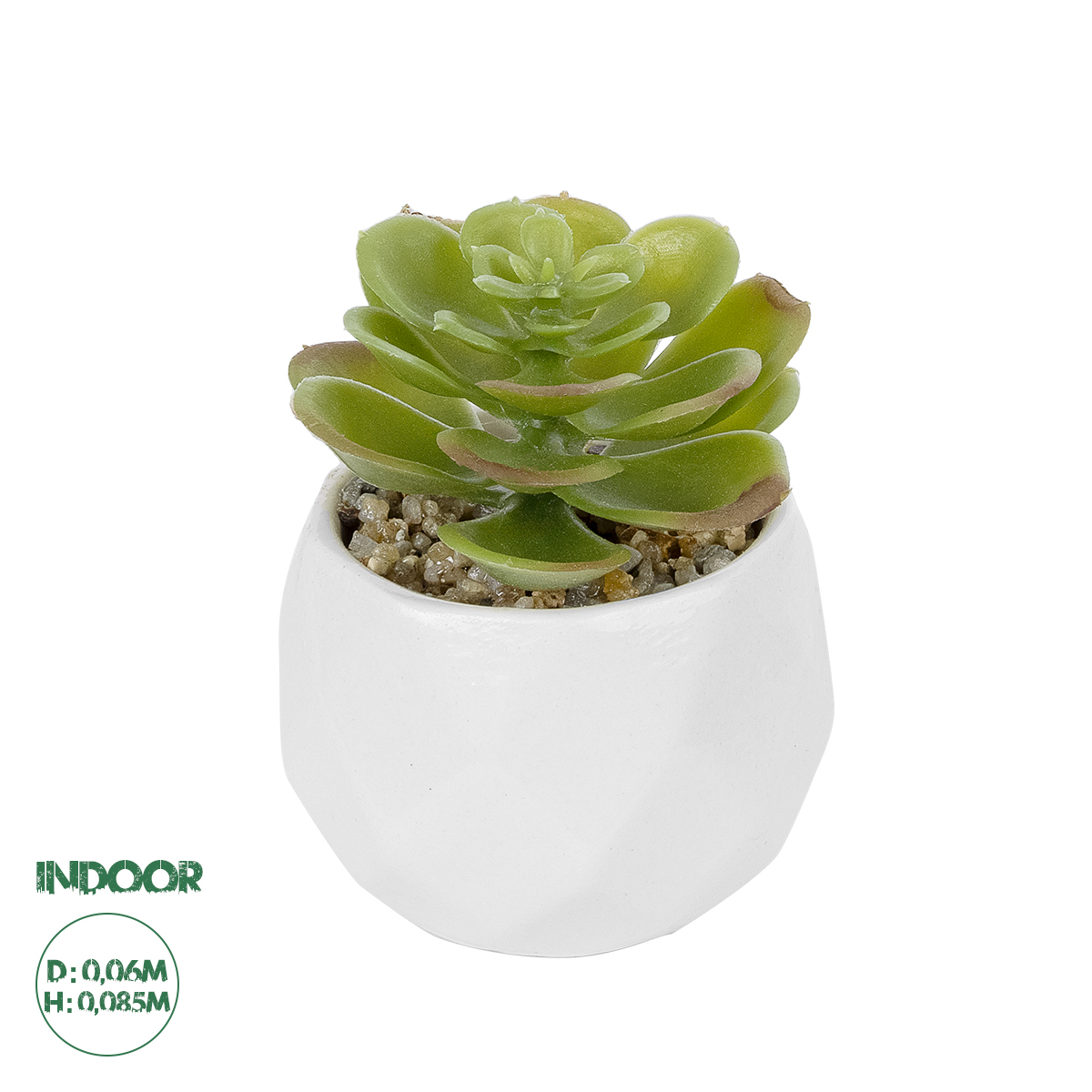 Τεχνητός Κήπος Succulent Echeveria Potted Plant Glint® Διακοσμητικό Φυτό Εχεβέρια Φ6 X Υ8,5Cm