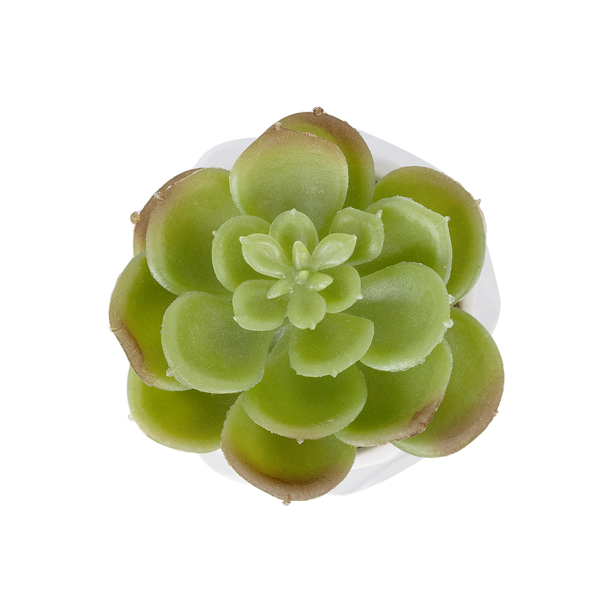 Τεχνητός Κήπος Succulent Echeveria Potted Plant Glint® Διακοσμητικό Φυτό Εχεβέρια Φ6 X Υ8,5Cm