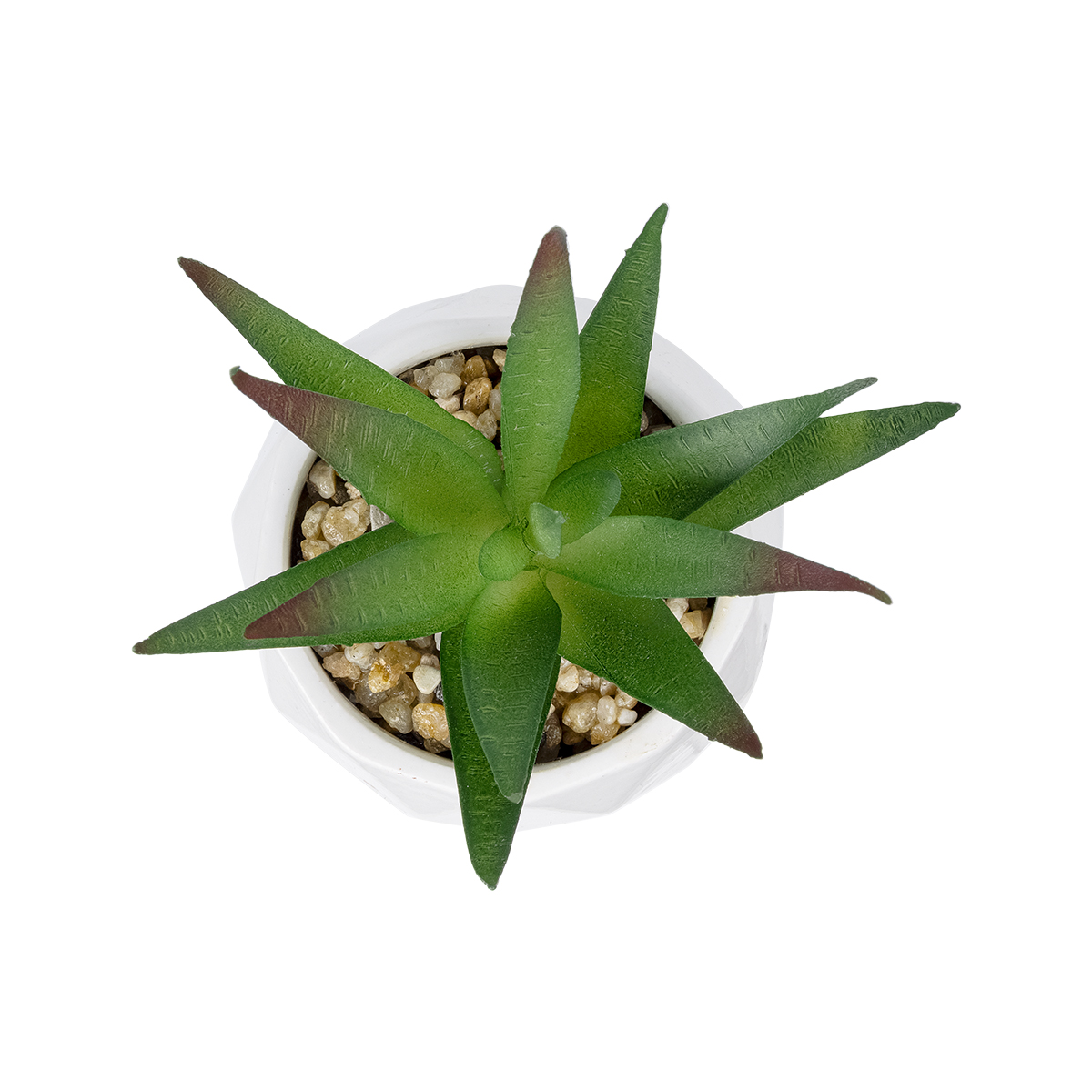 Τεχνητός Κήπος Succulent Aloe Potted Plant Glint® Διακοσμητικό Φυτό Αλόη Φ8 X Υ12Cm