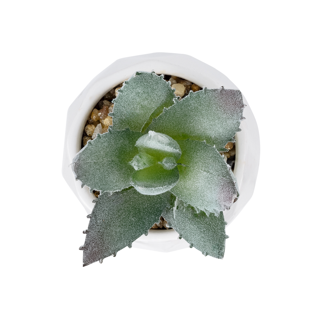 Τεχνητός Κήπος Succulent Aloe Potted Plant Glint® Διακοσμητικό Φυτό Αλόη  Φ7 X Υ9Cm