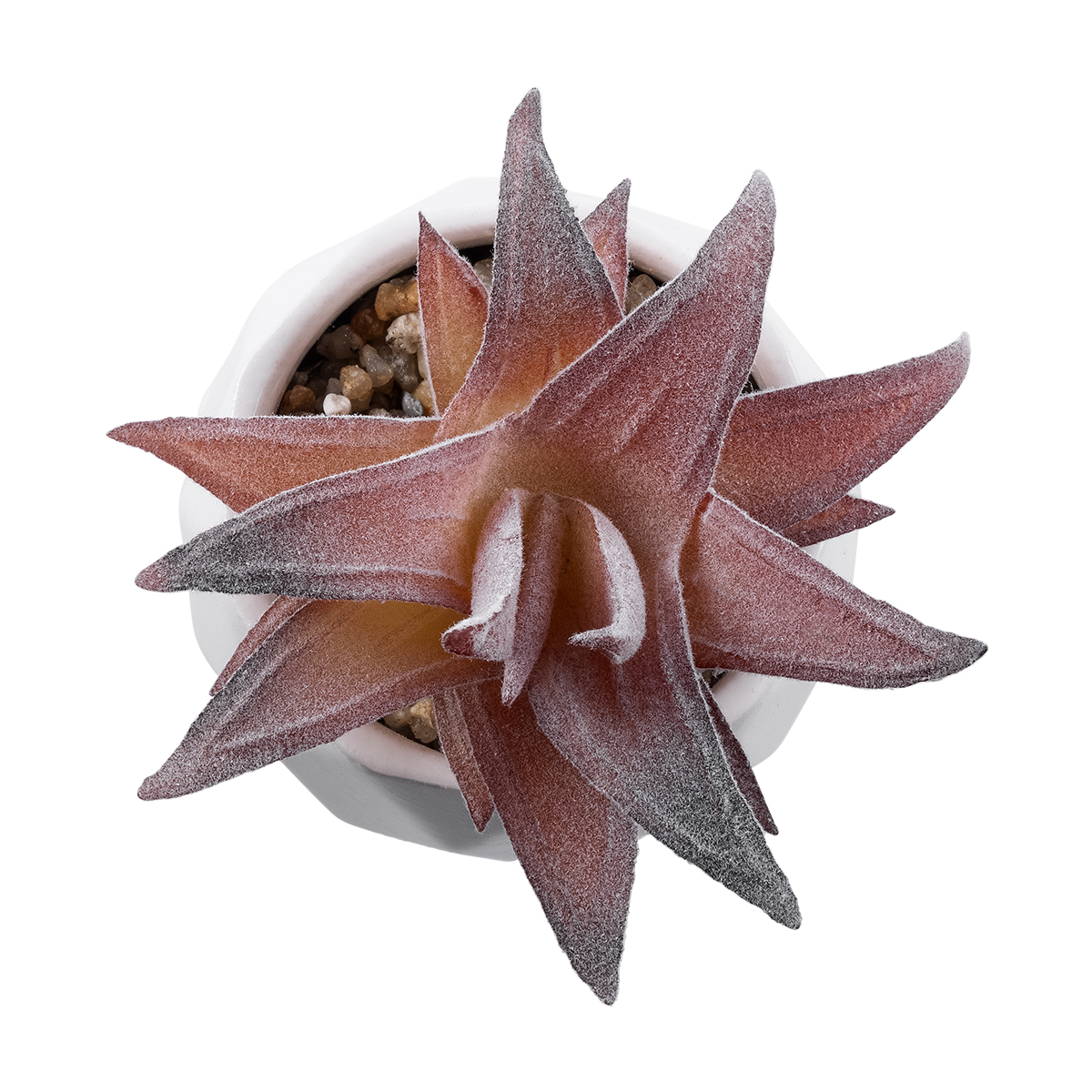 Τεχνητός Κήπος Succulent Aloe Glint® Διακοσμητικό Φυτό Παχύφυτο Αλόη Υ10Cm