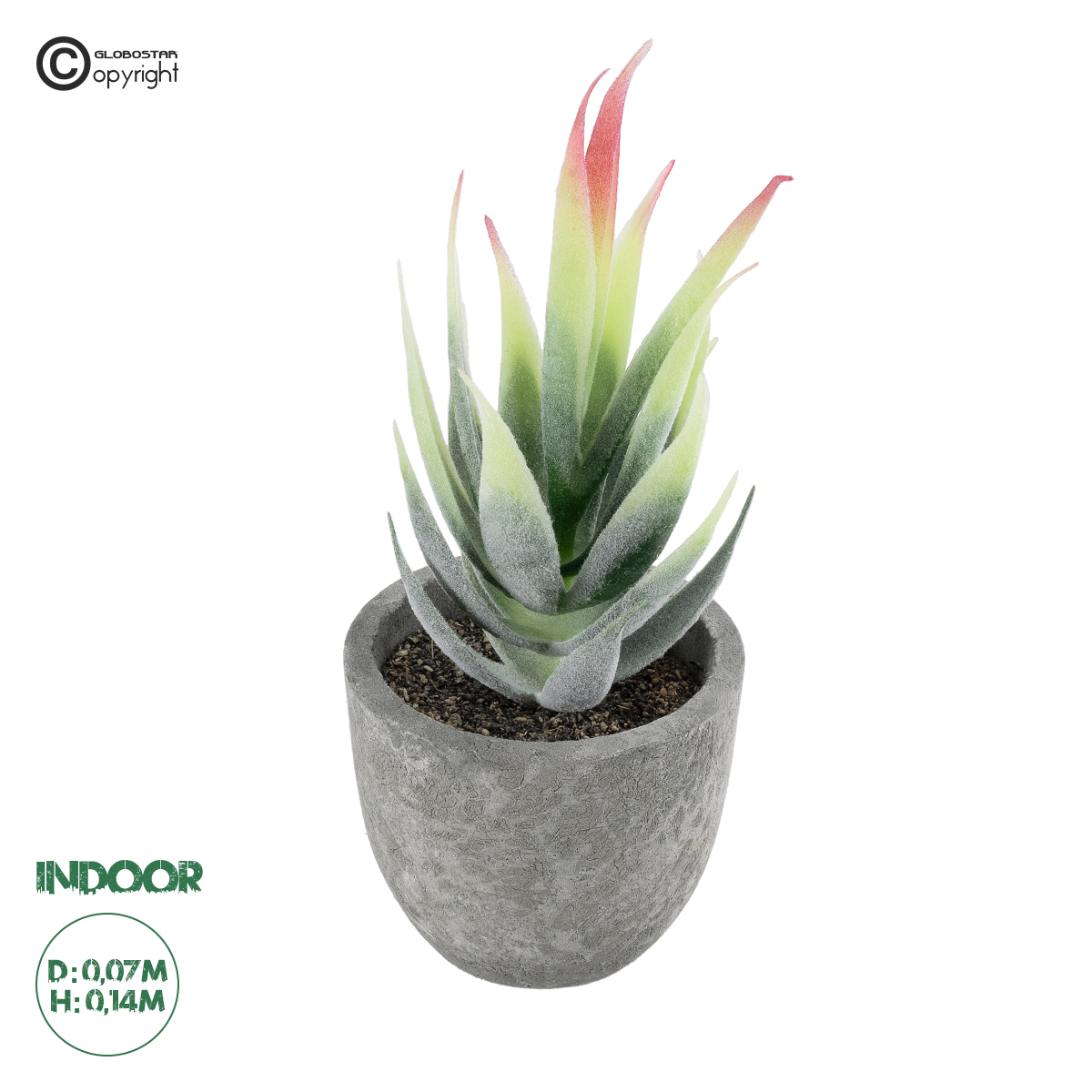 Τεχνητός Κήπος Succulent Aloe Glint® Διακοσμητικό Φυτό Παχύφυτο Αλόη Υ14Cm