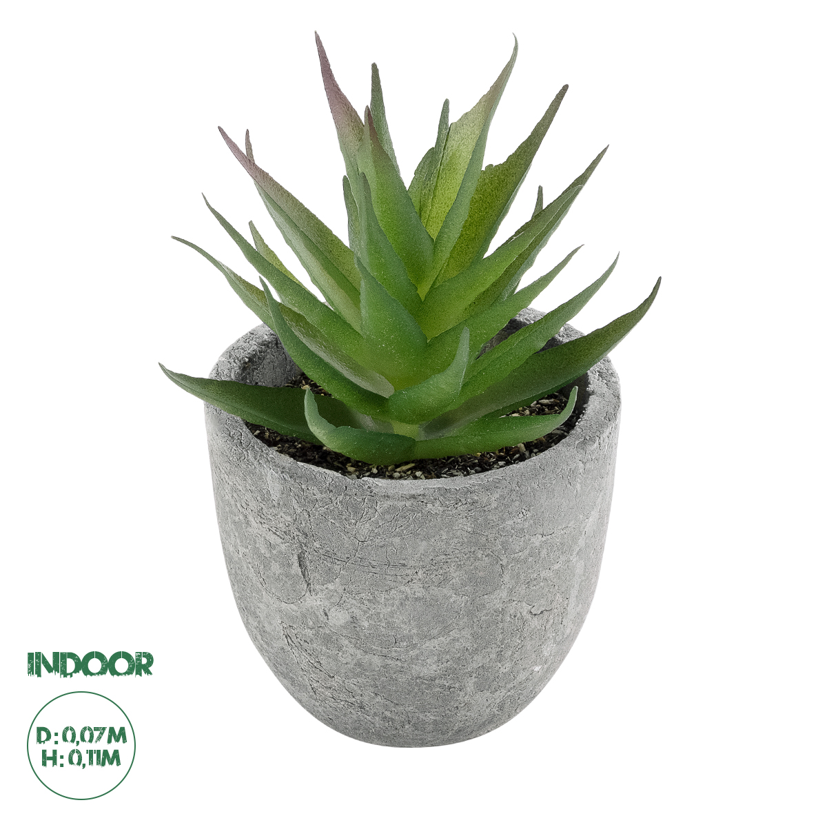 Τεχνητός Κήπος Succulent Aloe Glint® Διακοσμητικό Φυτό Παχύφυτο Αλόη Υ11Cm