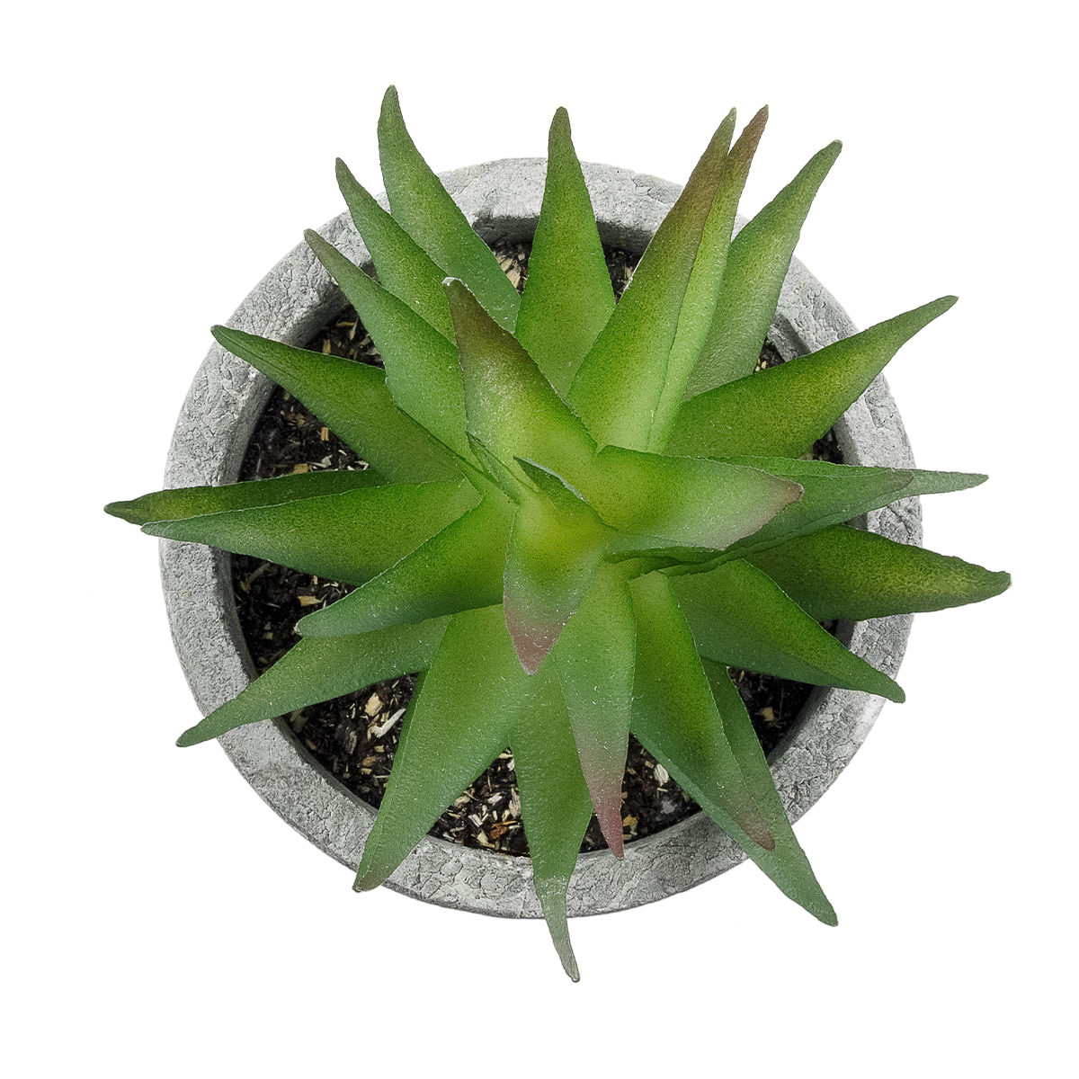 Τεχνητός Κήπος Succulent Aloe Glint® Διακοσμητικό Φυτό Παχύφυτο Αλόη Υ11Cm