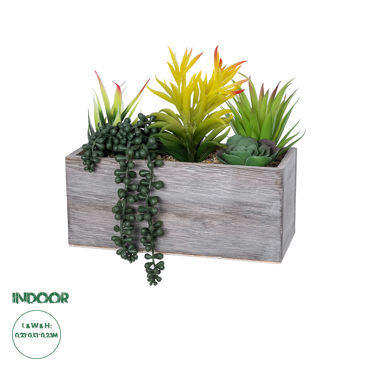 Τεχνητός Κήπος Succulent Varius Plant Potted Glint® Διακοσμητικό Φυτό Μίξ Μ25 X Υ22Cm