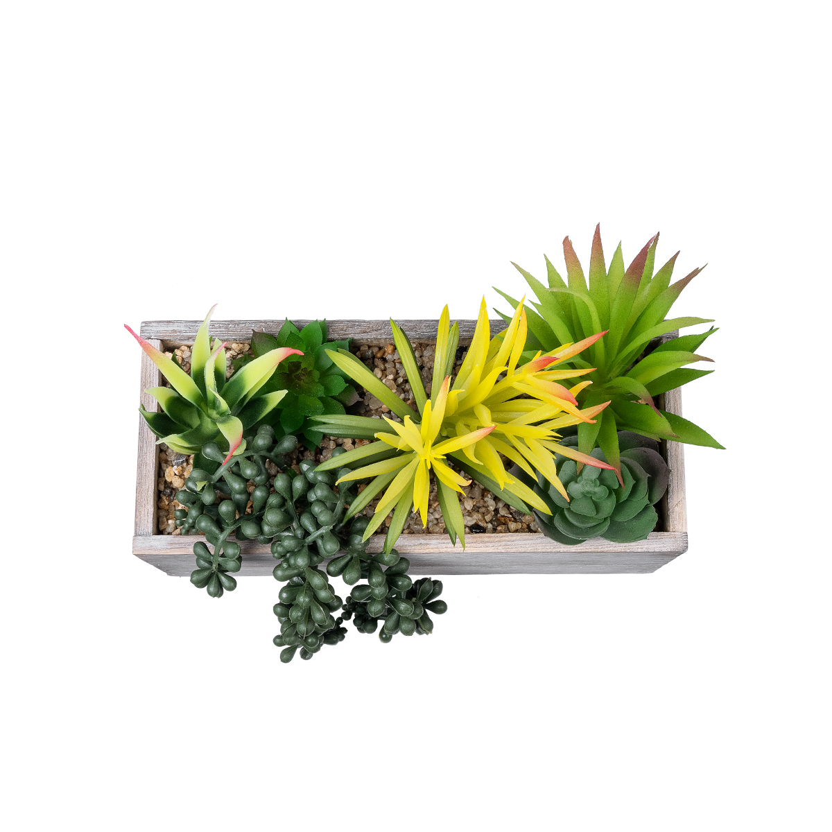 Τεχνητός Κήπος Succulent Varius Plant Potted Glint® Διακοσμητικό Φυτό Μίξ Μ25 X Υ22Cm