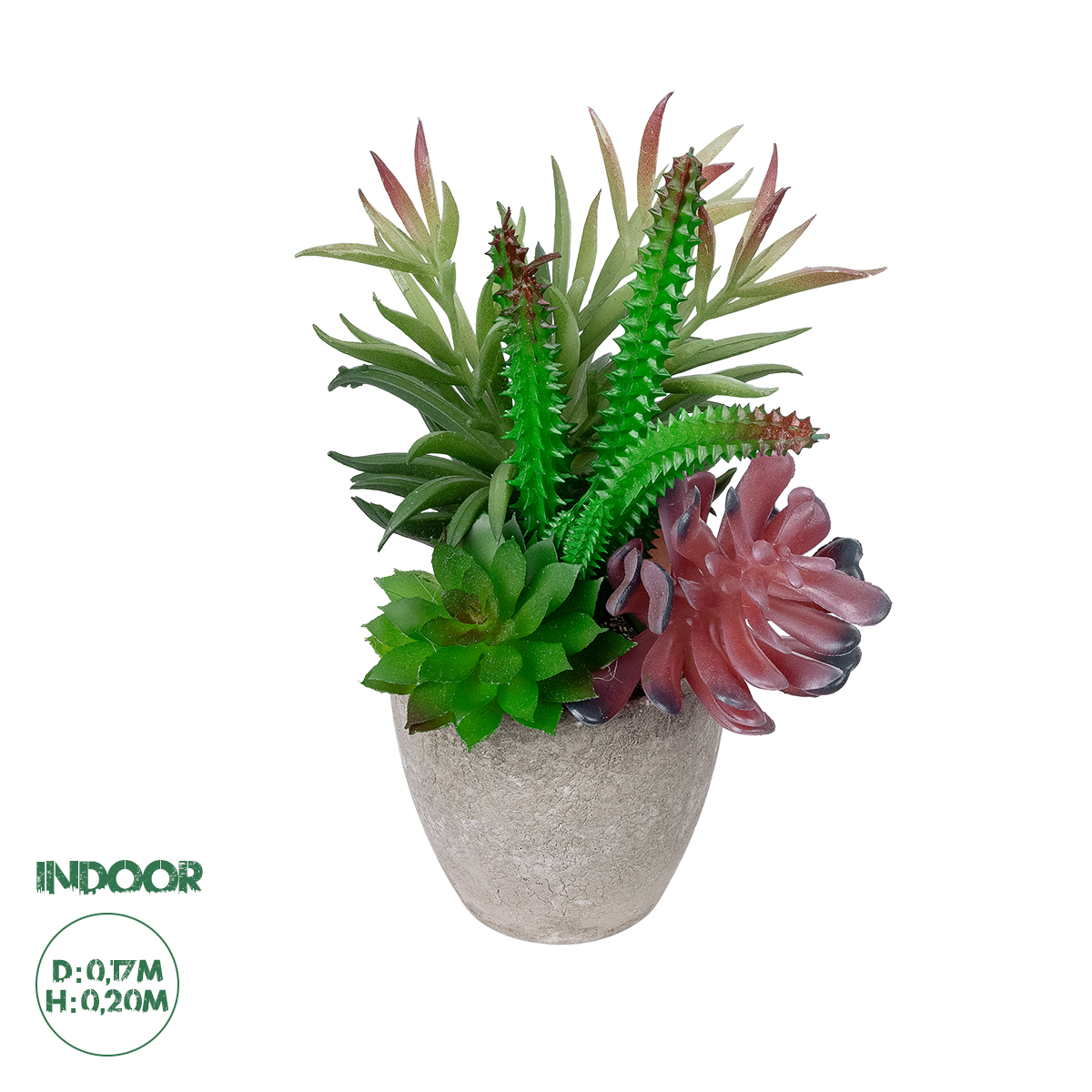 Τεχνητός Κήπος Succulent Varius Plant Potted Glint® Διακοσμητικό Φυτό Μίξ Μ17 X Υ20Cm