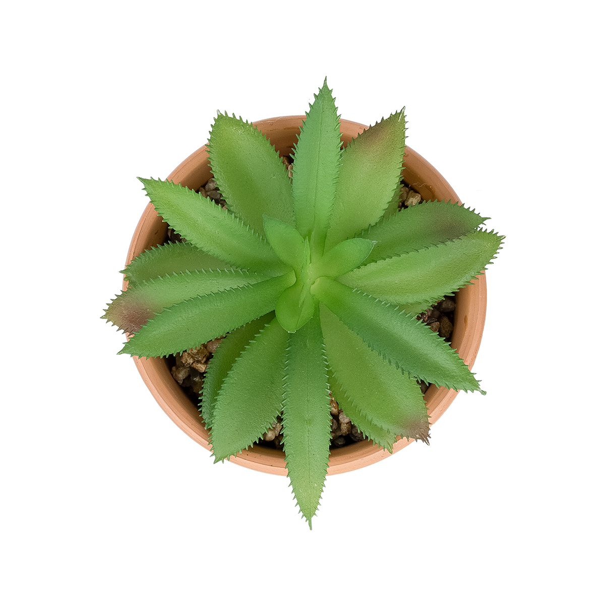 Τεχνητός Κήπος Succulent Aloe Potted Plant 210340 Διακοσμητικό Φυτό Αλόη Φ9 X Υ14Cm