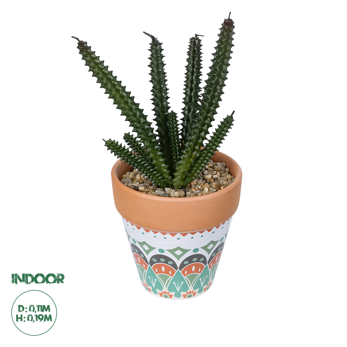 Τεχνητός Κήπος Succulent Euphorbia Potted Plant Glint® Διακοσμητικό Φυτό Ευφορβία Φ11 X Υ19Cm