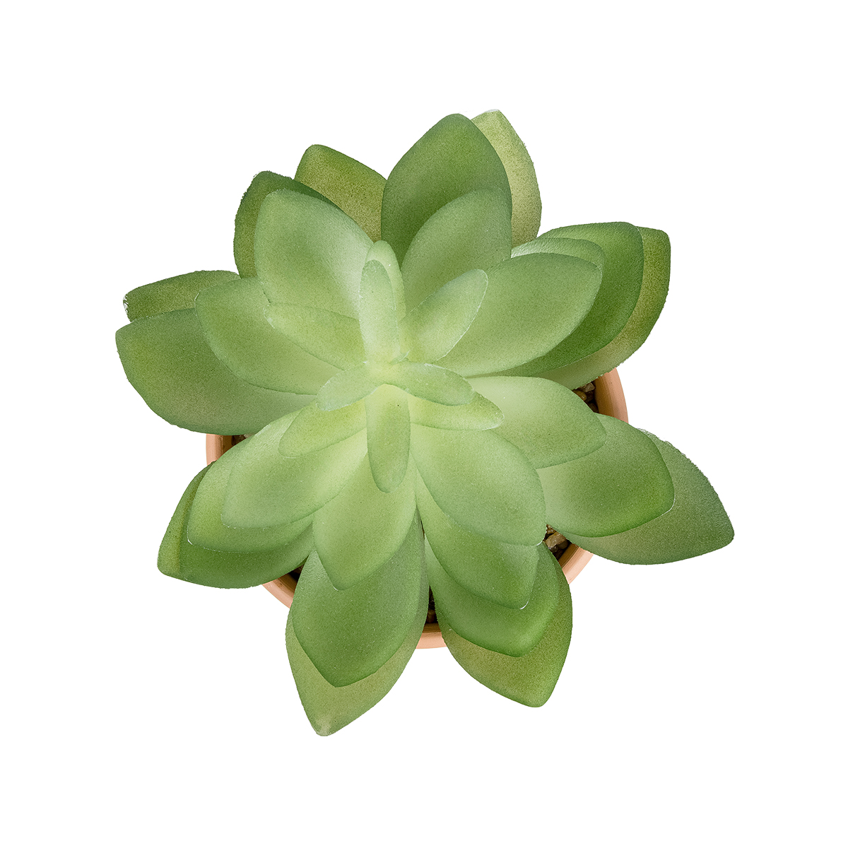 Τεχνητός Κήπος Succulent Echeveria Potted Plant 20948 Διακοσμητικό Φυτό Εχεβέρια Φ13 X Υ18Cm