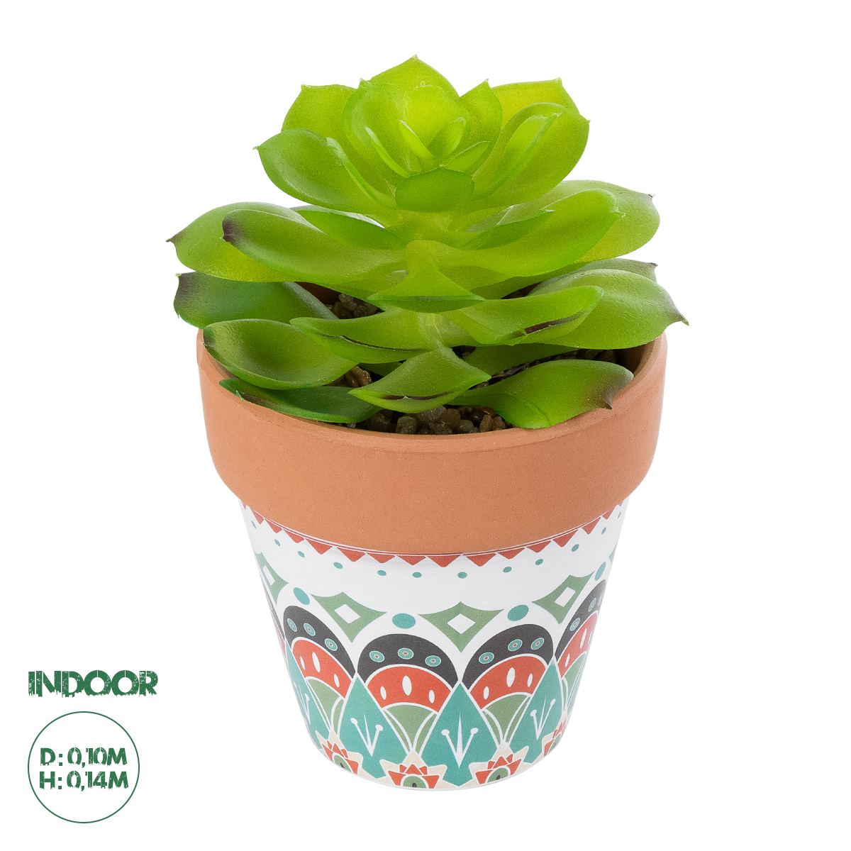 Τεχνητός Κήπος Succulent Echeveria Glint® Διακοσμητικό Φυτό Παχύφυτο Εχεβέρια Υ14Cm