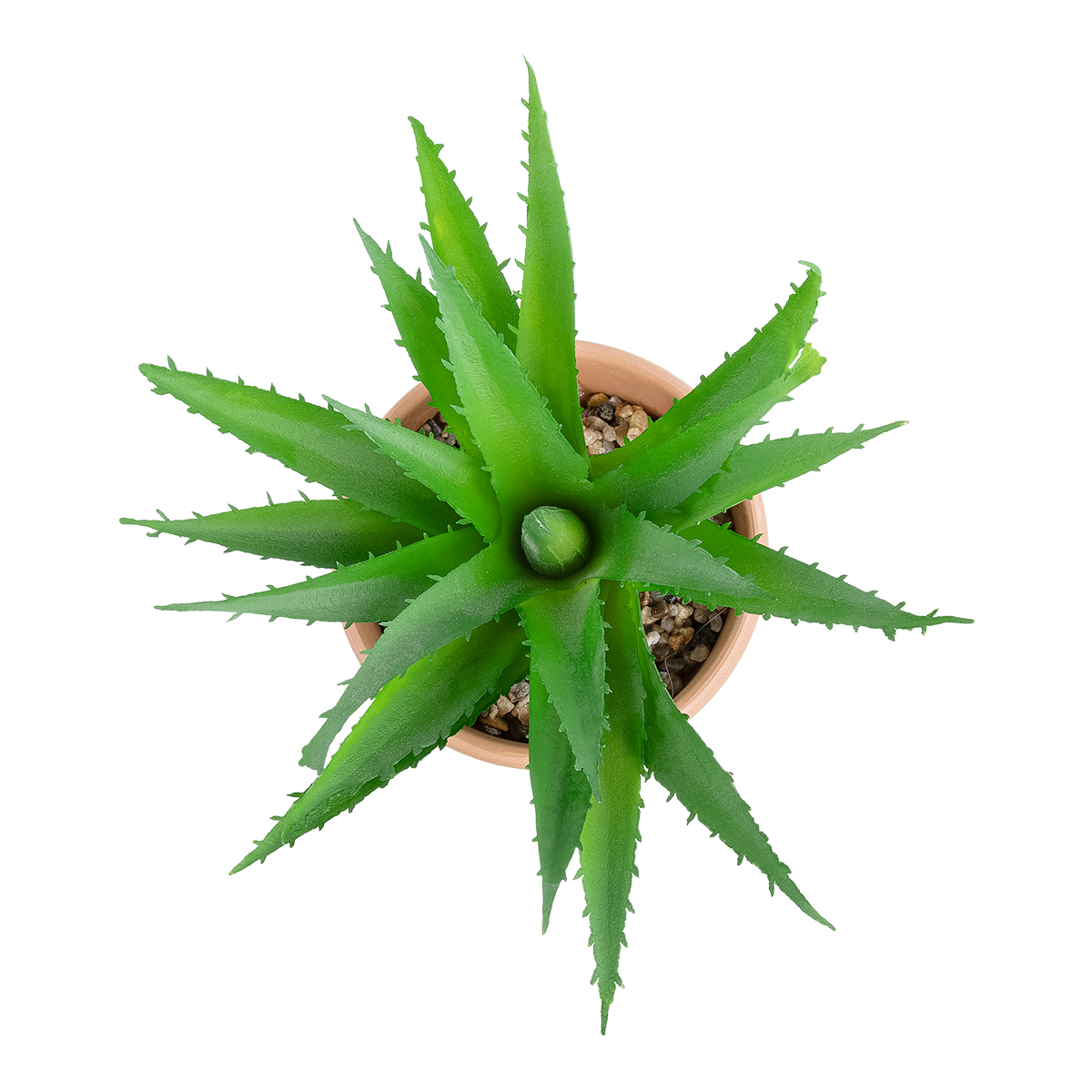 Τεχνητός Κήπος Succulent Aloe Potted Plant Glint® Διακοσμητικό Φυτό Αλόη  Φ15 X Υ19Cm